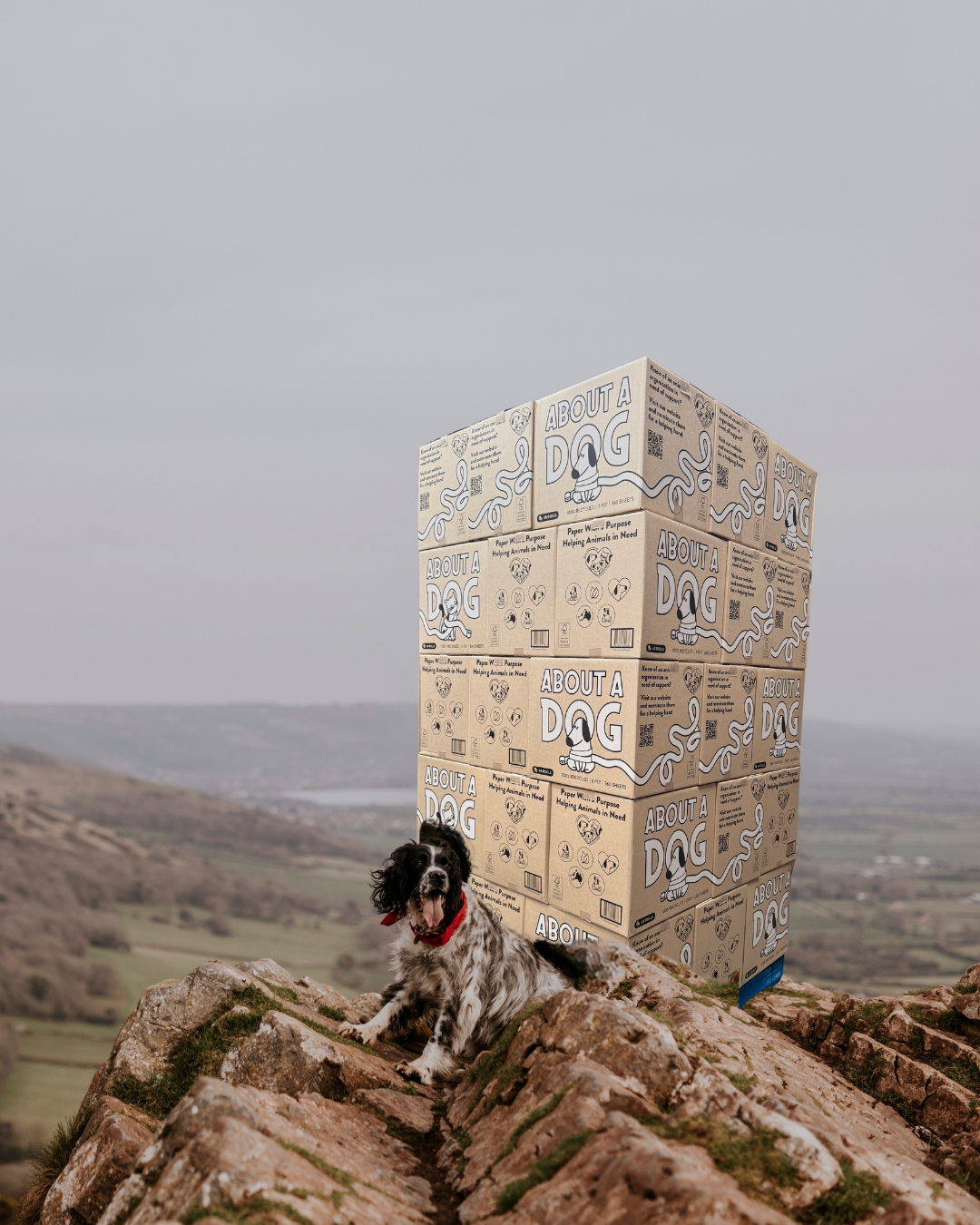 Ultraslim Folded Hand Towel Box - 24cm x 24cm - 2400 Sheets Per Ctn