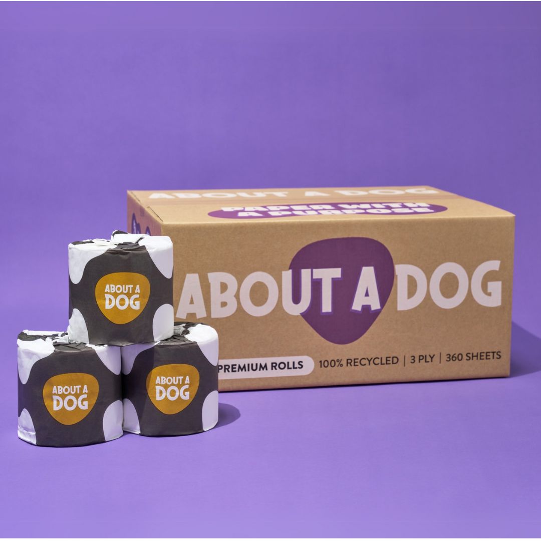 Premium Recycled Toilet Paper - 24 Double Length Rolls