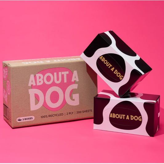 100% Recycled Tissue Paper - 3 Boxes - 200 Sheet Tissue Boxes