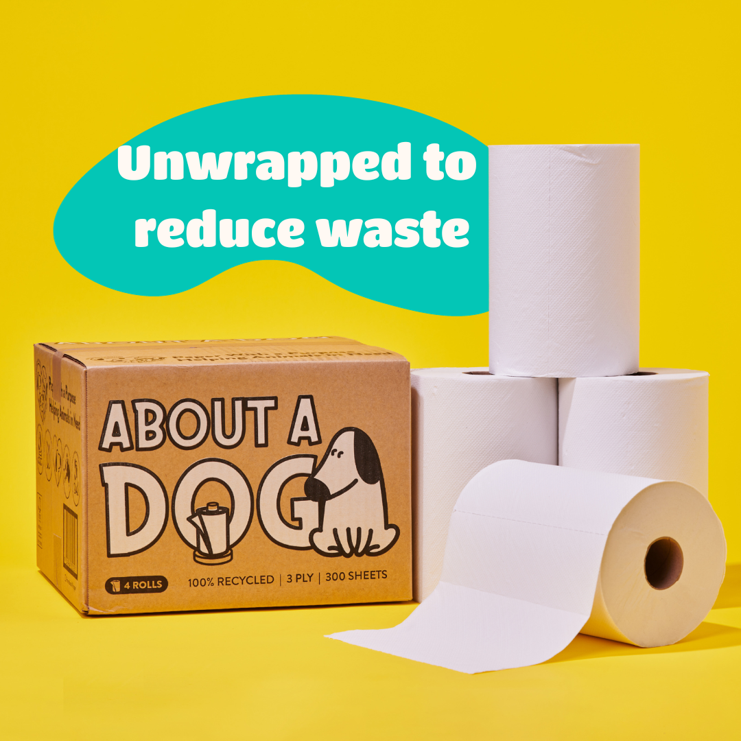 100% Recycled Paper Towel - 4 Double Length Paper Towel Rolls