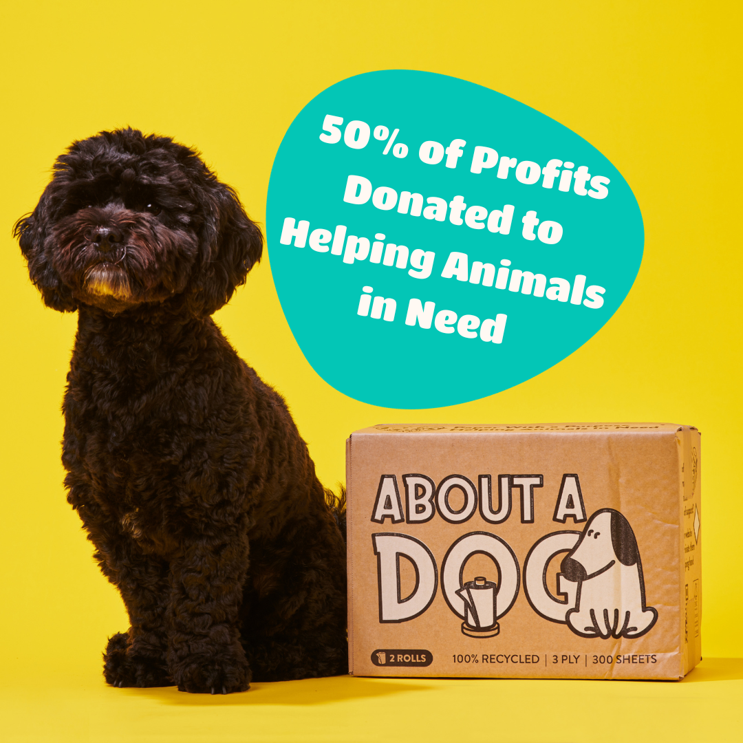 100% Recycled Paper Towel - 2 Double Length Paper Towel Rolls