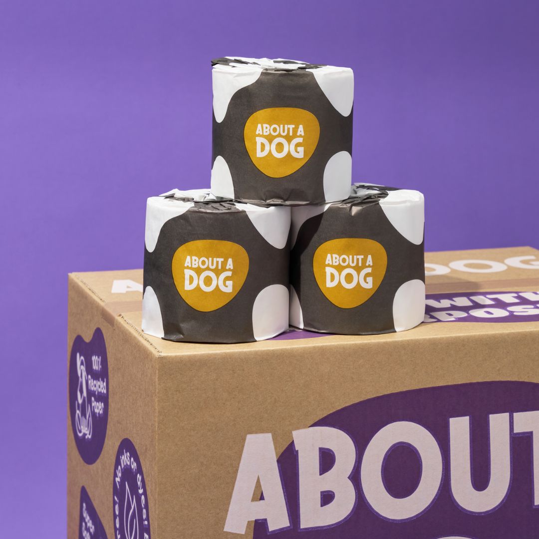 Premium Recycled Toilet Paper - 48 Double Length Rolls