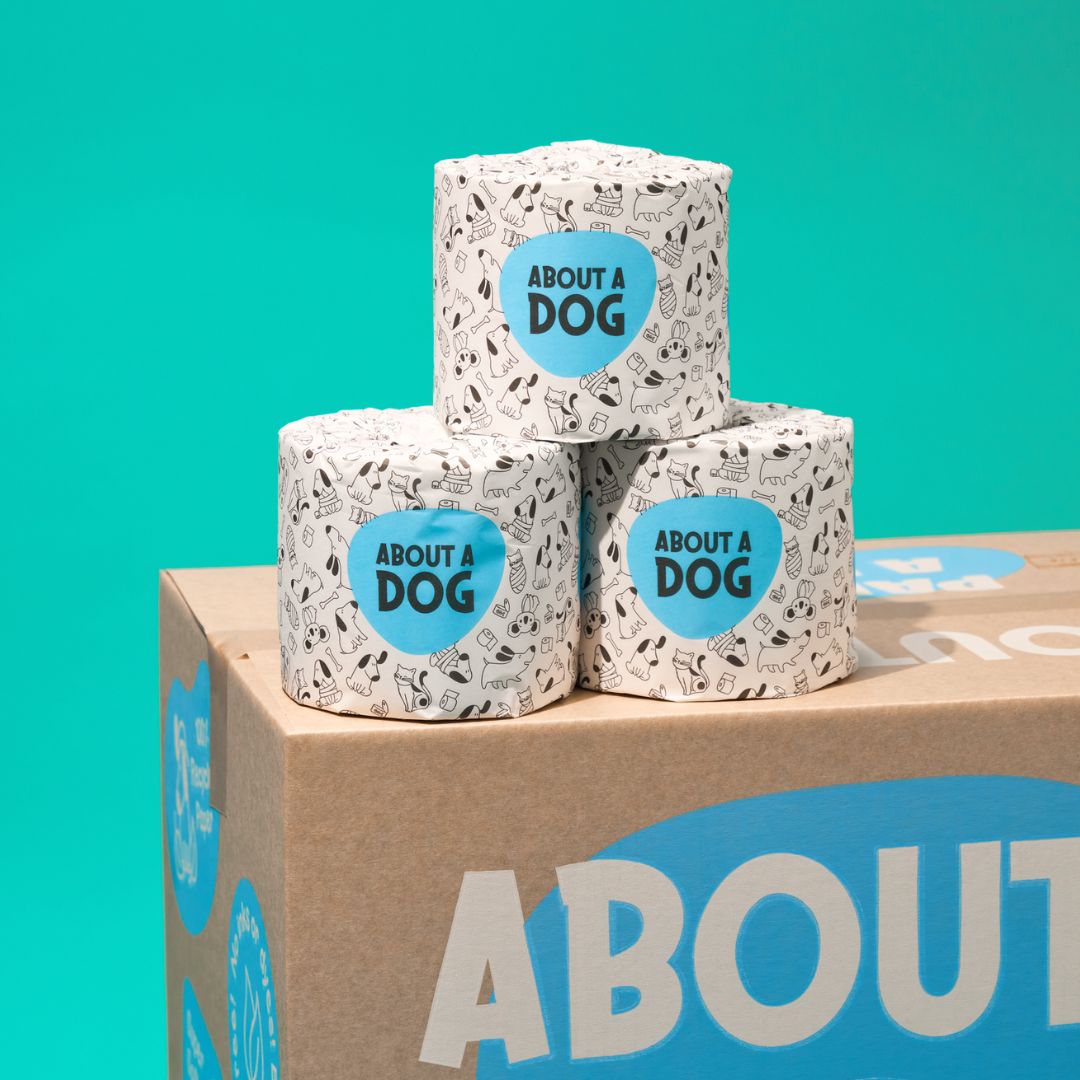 100% Recycled Toilet Paper - 48 Double Length Rolls