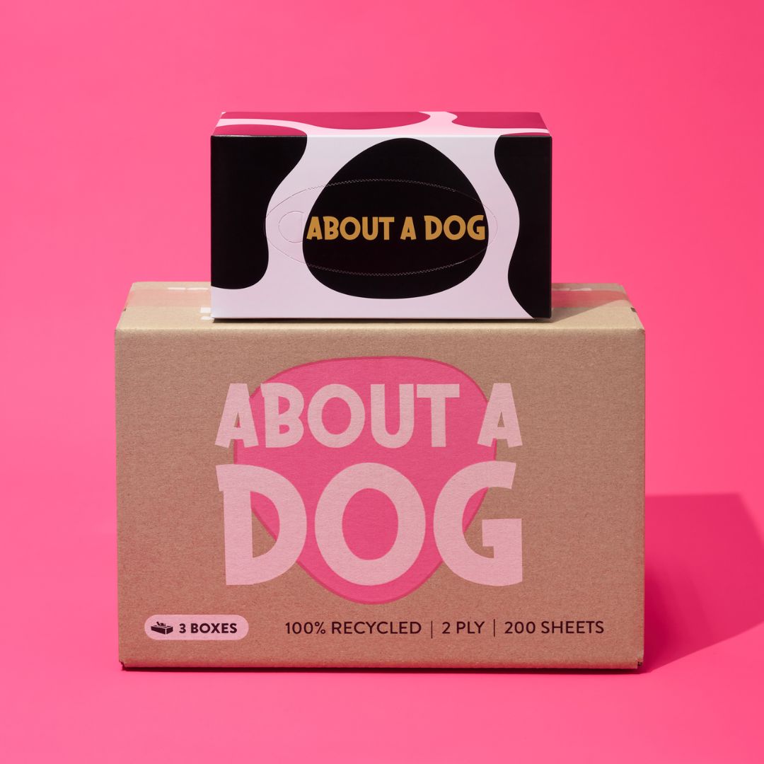 100% Recycled Tissue Paper - 3 Boxes - 200 Sheet Tissue Boxes