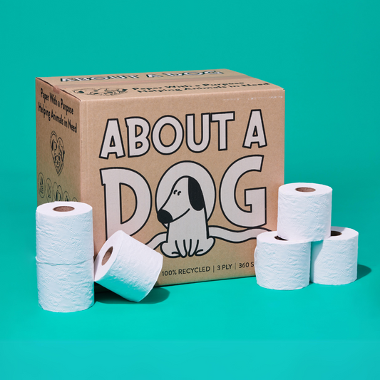 100% Recycled Toilet Paper - 48 double length naked rolls