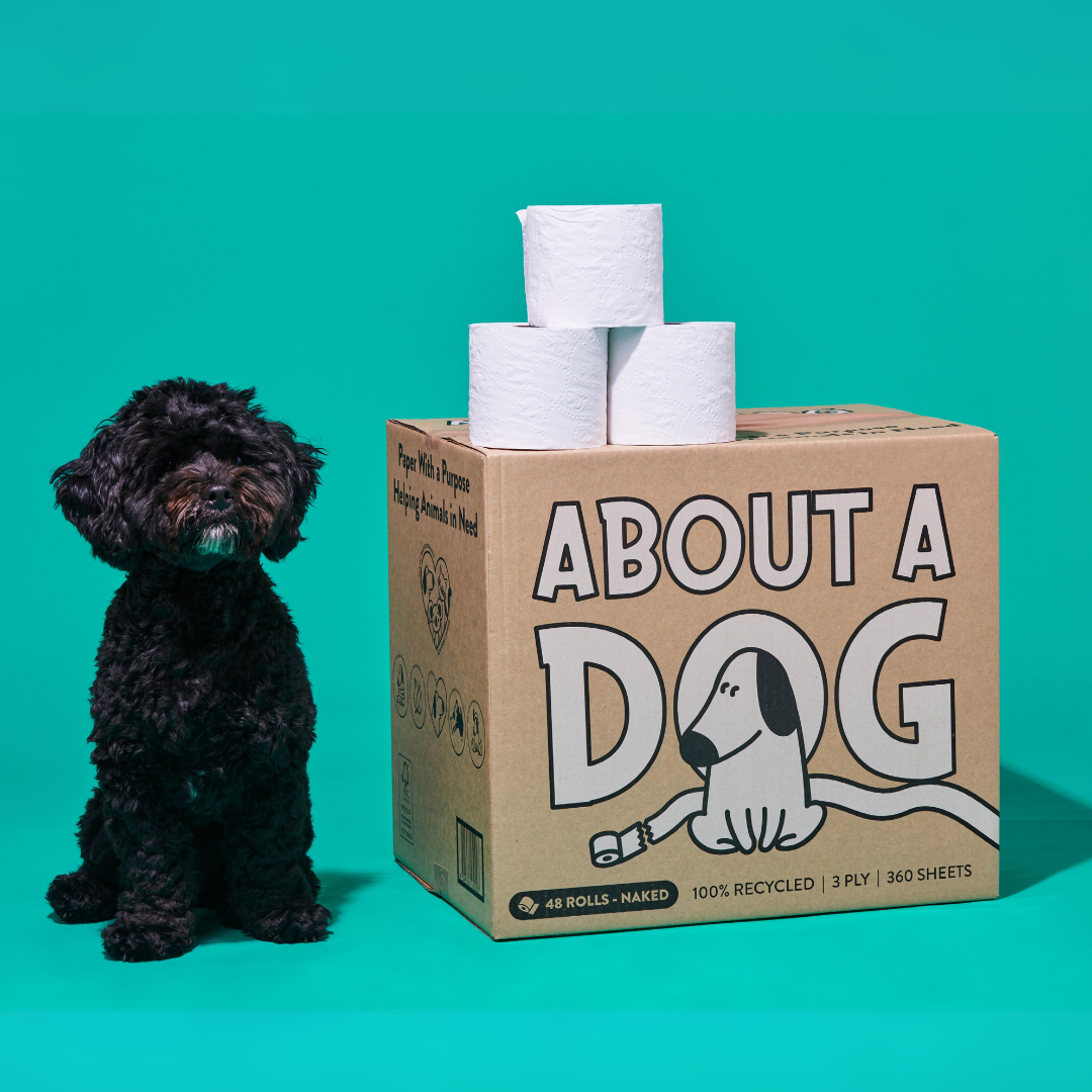 100% Recycled Toilet Paper - 48 double length naked rolls