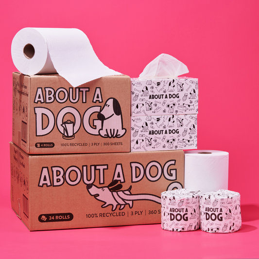 Family Bundle - 24 Toilet Roll Box + 4 Double Length Paper Towel Rolls + 3 Tissue Boxes