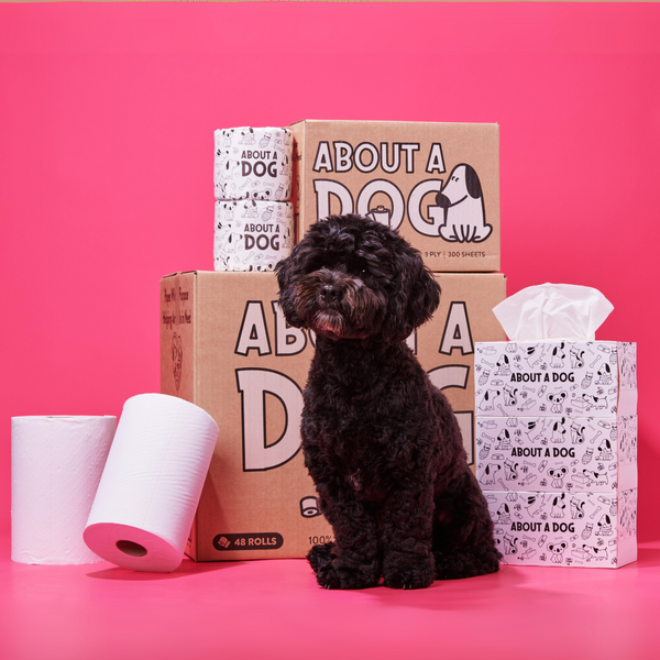 100% Recycled Toilet Large Household Bundle - 48 Toilet Roll Box + 2 Double  Length Towel Rolls + 6 Tissue Boxes – About A Dog Australia