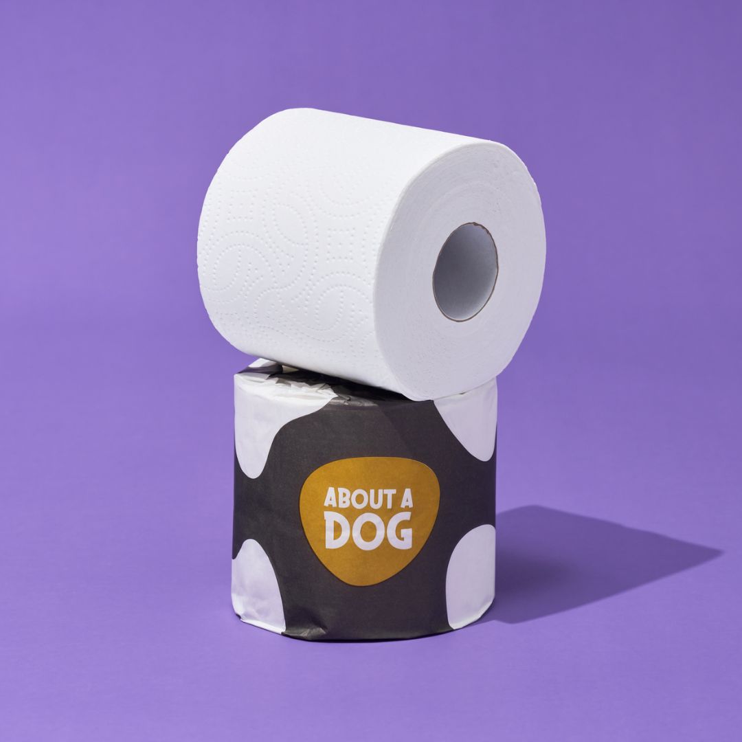 Premium Recycled Toilet Paper - 24 Double Length Rolls