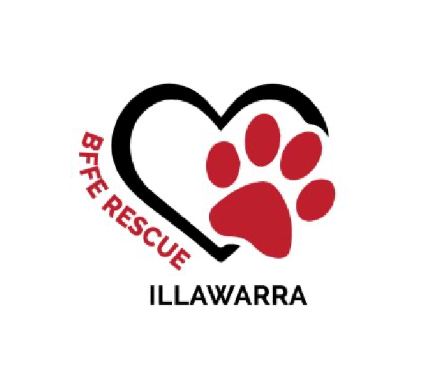 Best Friends For Ever Illawarra Rescue