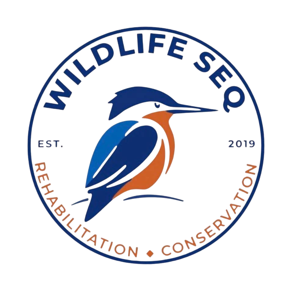 Wildlife SEQ