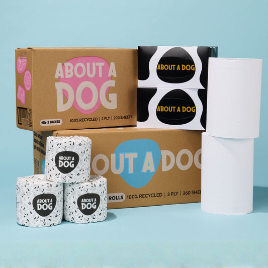 Family Bundle - 24 Toilet Roll Box + 4 Double Length Paper Towel Rolls + 3 Tissue Boxes