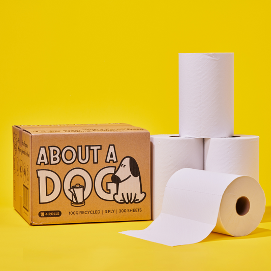 100% Recycled Paper Towel - 4 Double Length Paper Towel Rolls