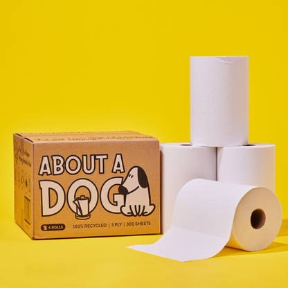 The Whole Kitten Cavoodle Bundle  - 48 Toilet Roll Box + 4 Paper Towel Rolls + 3 Tissue Boxes