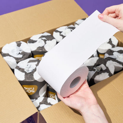 Premium Recycled Toilet Paper - 24 Double Length Rolls