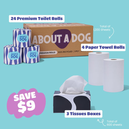 Family Bundle - 24 Toilet Roll Box + 4 Double Length Paper Towel Rolls + 3 Tissue Boxes