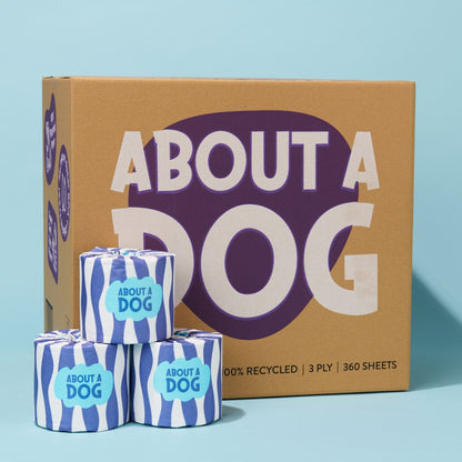 Premium Recycled Toilet Paper - 48 Double Length Rolls