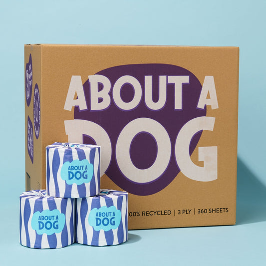 Premium Recycled Toilet Paper - 48 Double Length Rolls