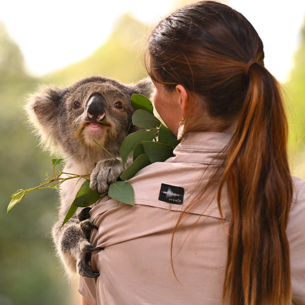 Friends of the Koala