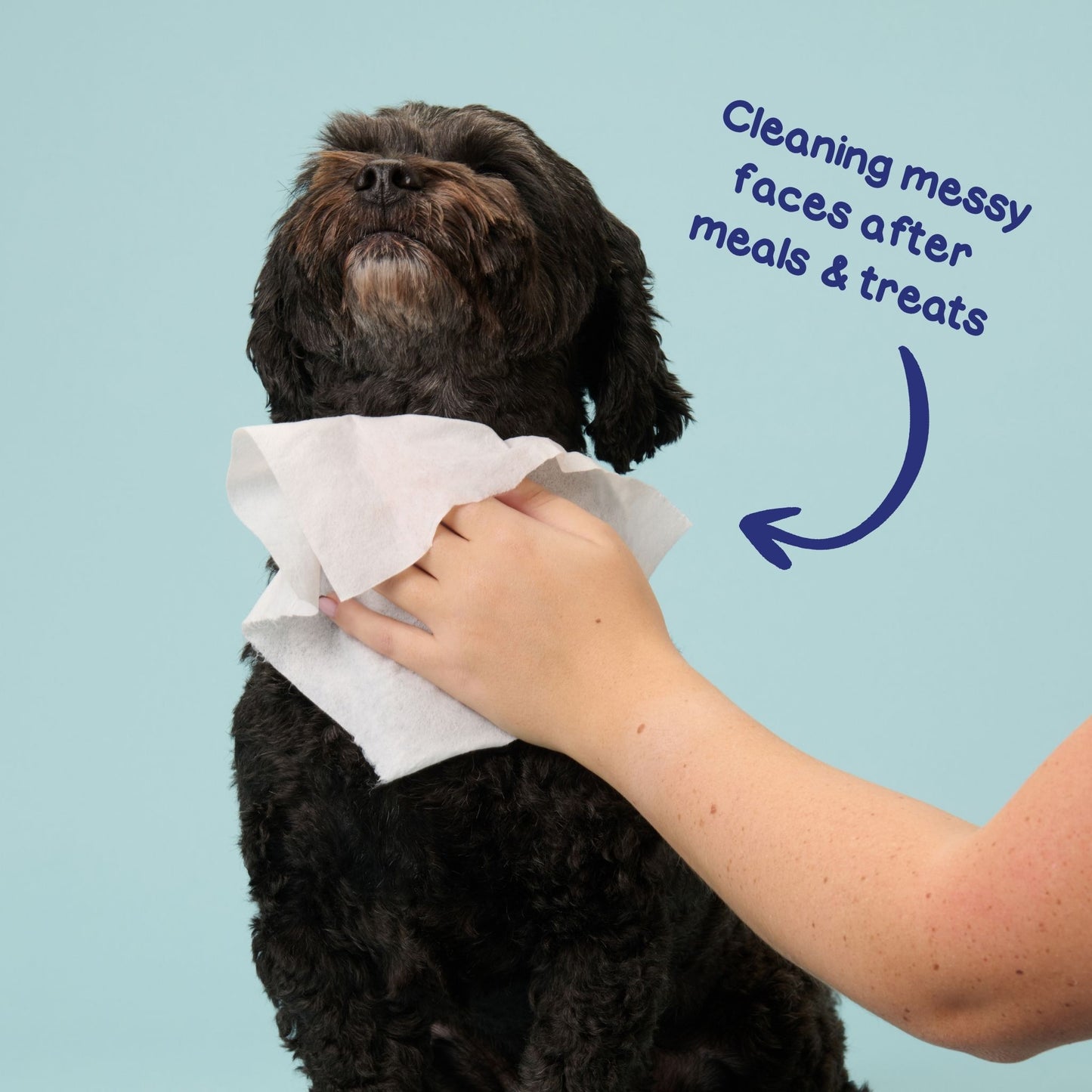 Plastic Free Dog Grooming Wipes