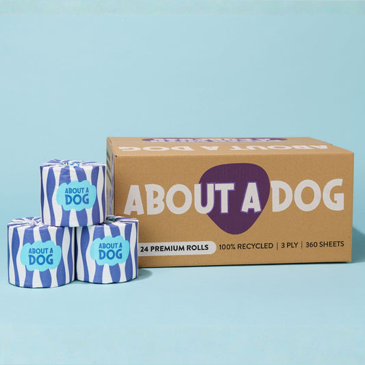 Premium Recycled Toilet Paper - 24 Double Length Rolls