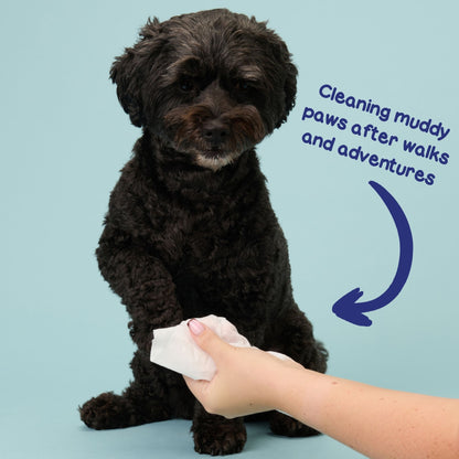 Plastic Free Dog Grooming Wipes