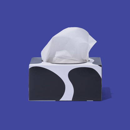 Facial Tissue - 3 Boxes Per Carton - 2ply - 200 Sheet - 100% Recycled