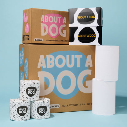 The Whole Kitten Cavoodle Bundle  - 48 Toilet Roll Box + 4 Paper Towel Rolls + 3 Tissue Boxes