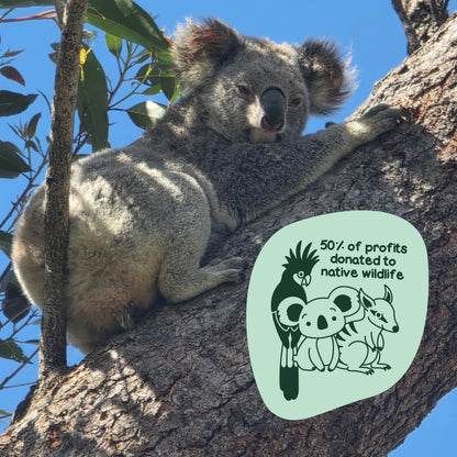 Save The Koala Edition