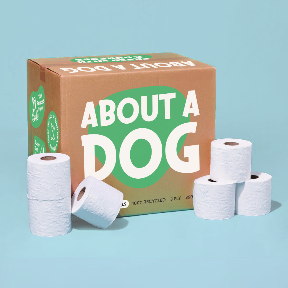 100% Recycled Toilet Paper - 48 double length naked rolls