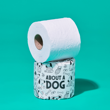 100% Recycled Toilet Paper - 48 Double Length Rolls