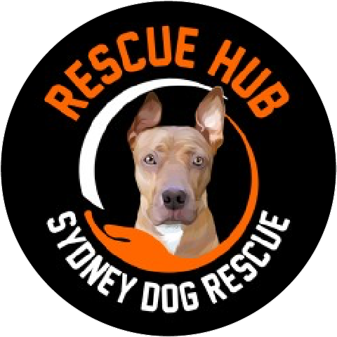 Rescue Hub