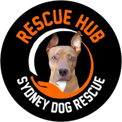 Rescue Hub logo