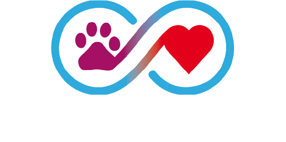 Safe Pets 
Safe Families
