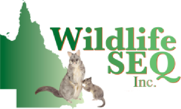 Wildlife SEQ