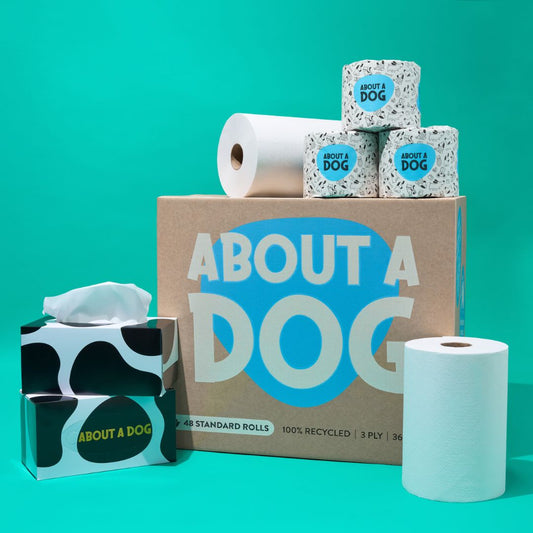 The Whole Kitten Cavoodle Bundle  - 48 Toilet Roll Box + 4 Paper Towel Rolls + 3 Tissue Boxes
