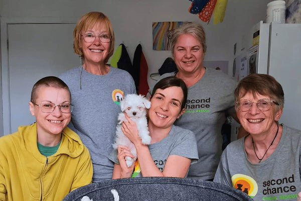 Second Chance Animal Rescue