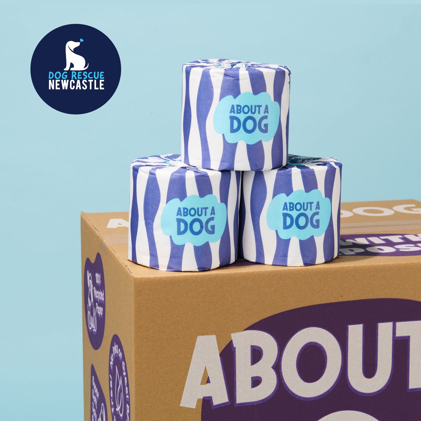 Premium Recycled Toilet Rolls