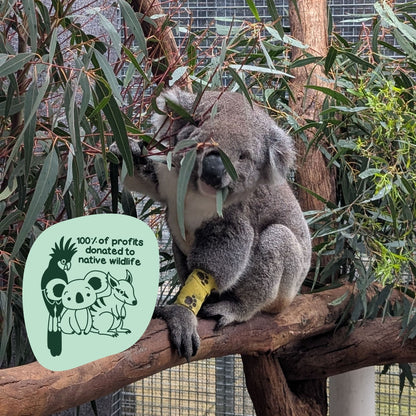 Save The Koala Tee