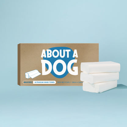 Ultraslim Folded Hand Towel Box - 24cm x 24cm - 2400 Sheets Per Ctn