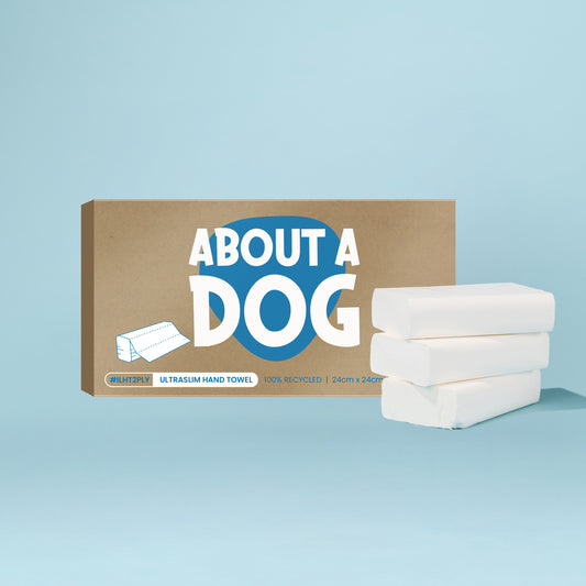 Ultraslim Folded Hand Towel Box - 24cm x 24cm - 2400 Sheets Per Ctn